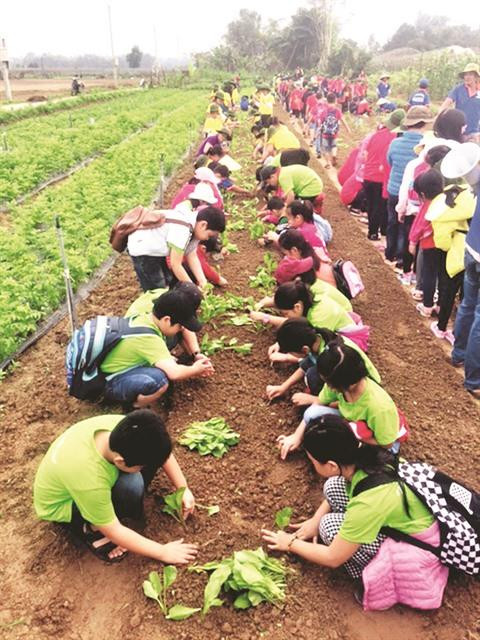 Quand les champs deviennent des classes à Dà Nang ảnh 1 Quand les champs deviennent des classes à Dà Nang ảnh 1