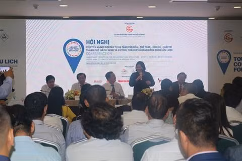 Delta du Mékong: un panier de projets en attente de capitaux ảnh 1