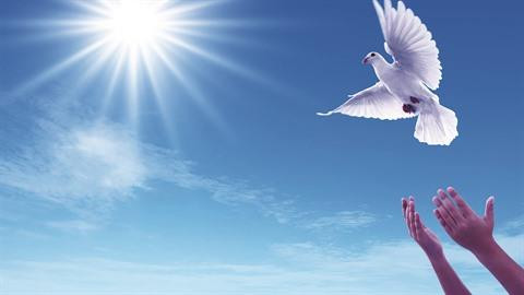 Bousculer les habitudes: abandon du lâcher de ballons ảnh 2 Bousculer les habitudes: abandon du lâcher de ballons ảnh 2