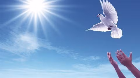 Bousculer les habitudes: abandon du lâcher de ballons ảnh 2 Bousculer les habitudes: abandon du lâcher de ballons ảnh 2