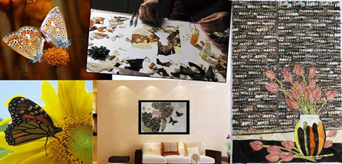 L’artiste "papilloniste" qui donne des ailes à ses oeuvres ảnh 3 L’artiste "papilloniste" qui donne des ailes à ses oeuvres ảnh 3