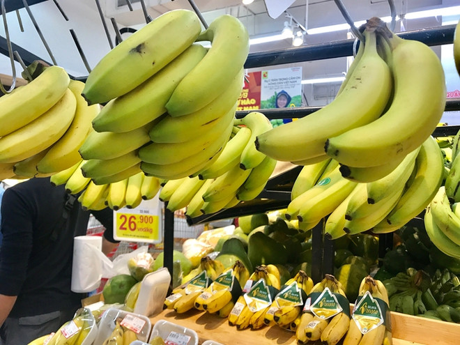 Les exportations de fruits et légumes s’établissent à 3,1 milliards de dollars en 11 mois ảnh 1 Les exportations de fruits et légumes s’établissent à 3,1 milliards de dollars en 11 mois ảnh 1