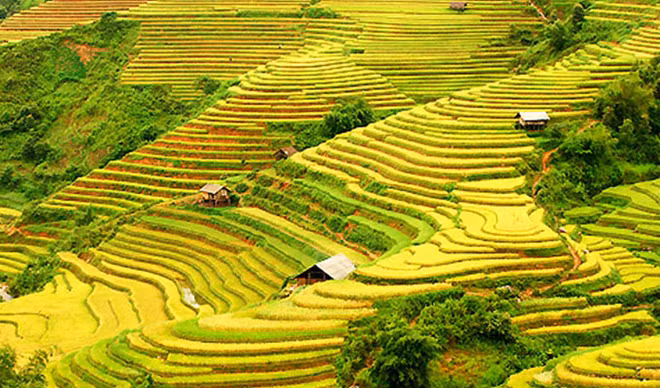 Bientôt la Semaine "À travers les champs en terrasses de Hoang Su Phi" ảnh 1