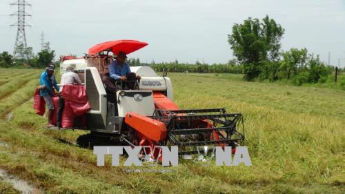 Vietnam et Japon partagent des expériences de développement des produits agricoles ảnh 1