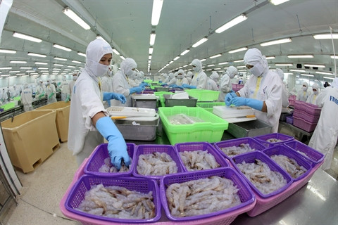 La Russie, nouveau débouché pour les produits vietnamiens ảnh 3 La Russie, nouveau débouché pour les produits vietnamiens ảnh 3