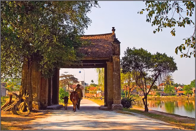 Duong Lâm, un village en latérite séculaire ảnh 1