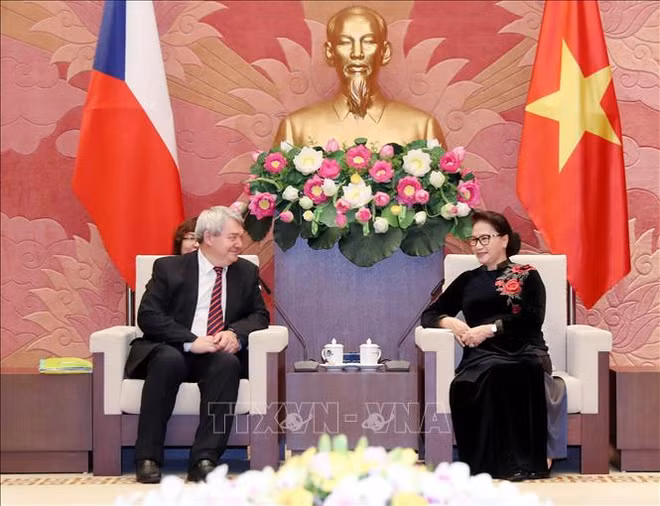 Pour approfondir les relations parlementaires Vietnam-R. tchèque ảnh 1
