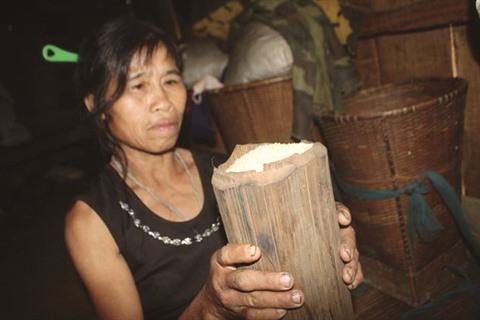  Un village montagnard et ses bambous géants à Quang Nam ảnh 3