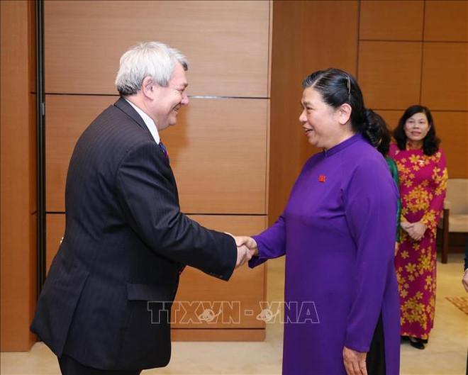 Vietnam et R. tchèque promeuvent leur coopération dans le commerce et l’investissement ảnh 1 Vietnam et R. tchèque promeuvent leur coopération dans le commerce et l’investissement ảnh 1