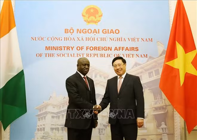 Consolidation des relations Vietnam-Côte d’Ivoire ảnh 1