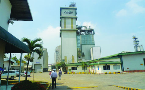 Alimentation animale: Cargill augmente ses investissements au Vietnam ảnh 1 Alimentation animale: Cargill augmente ses investissements au Vietnam ảnh 1