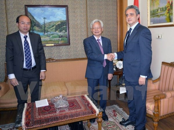 Vietnam et Egypte coopèrent dans l'étude de politiques ảnh 1 Vietnam et Egypte coopèrent dans l'étude de politiques ảnh 1