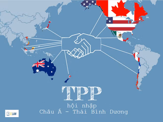 TPP : de nombreux produits ne seront plus taxés ảnh 1 TPP : de nombreux produits ne seront plus taxés ảnh 1