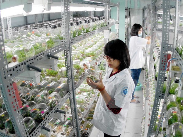 HCM-Ville et Sacramento (Etats-Unis) coopèrent dans la formation du personnel ảnh 1