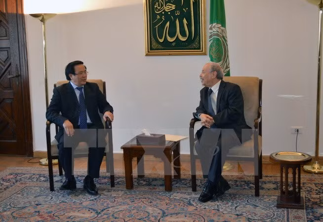 Vietnam – Égypte : renforcement des relations bilatérales ảnh 1