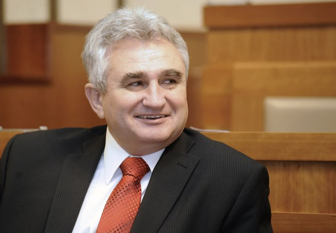 Le président du Sénat de la République tchèque entame une visite au Vietnam ảnh 1