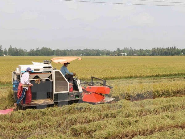 Le Venezuela ratifie des accords de coopération dans l’agriculture avec le Vietnam ảnh 1 Le Venezuela ratifie des accords de coopération dans l’agriculture avec le Vietnam ảnh 1