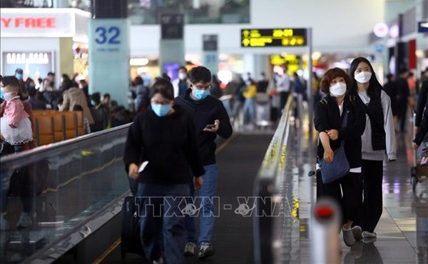 Les transporteurs aériens continuent de gagner des passagers sur les routes internationales ảnh 1 Les transporteurs aériens continuent de gagner des passagers sur les routes internationales ảnh 1