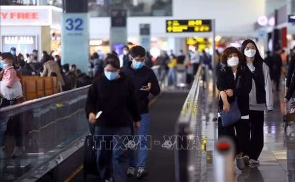 Les transporteurs aériens continuent de gagner des passagers sur les routes internationales ảnh 1