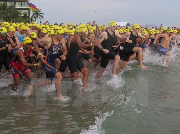 Bientôt le Triathlon Ironman 2016 à Da Nang ảnh 1 Bientôt le Triathlon Ironman 2016 à Da Nang ảnh 1
