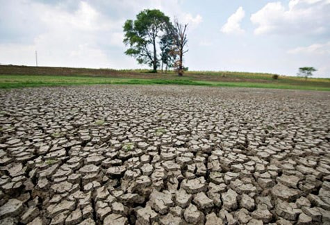 Des mesures efficaces pour faire face aux changements climatiques ảnh 1 Des mesures efficaces pour faire face aux changements climatiques ảnh 1