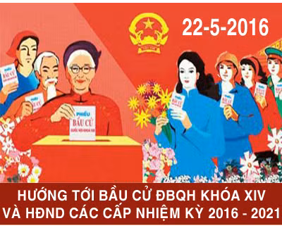 Elections anticipées dans de nombreuses localités dans l'ensemble du pays ảnh 1