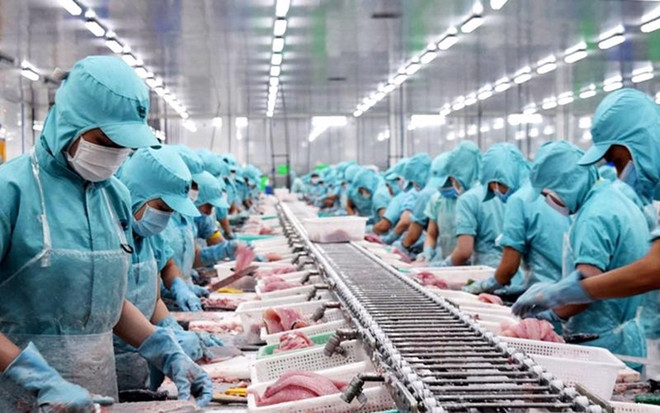 Les exportations vers les pays du CPTPP progressent de plus de 21% en sept mois ảnh 1 Les exportations vers les pays du CPTPP progressent de plus de 21% en sept mois ảnh 1