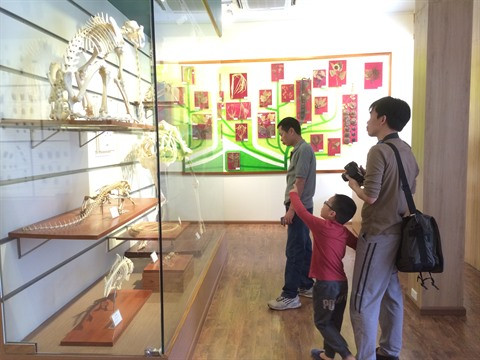 Musée de la nature du Vietnam, source de découvertes majeures en histoire naturelle ảnh 1 Musée de la nature du Vietnam, source de découvertes majeures en histoire naturelle ảnh 1