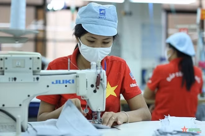 Le Vietnam exporte pour plus de 24 milliards de dollars de produits textiles ảnh 1