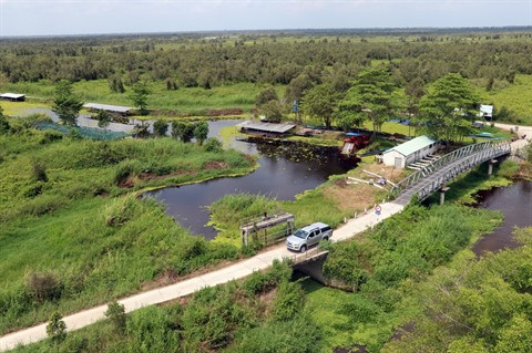 Le Vietnam s’oriente vers un avenir neutre en carbone ảnh 1 Le Vietnam s’oriente vers un avenir neutre en carbone ảnh 1