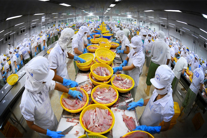 Le marché du pangasius reprend des couleurs après une année 2020 morose ảnh 1 Le marché du pangasius reprend des couleurs après une année 2020 morose ảnh 1