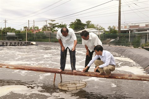 Se conformer aux lois naturelles pour un delta du Mékong durable ảnh 2 Se conformer aux lois naturelles pour un delta du Mékong durable ảnh 2