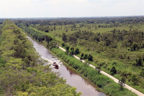Se conformer aux lois naturelles pour un delta du Mékong durable ảnh 3 Se conformer aux lois naturelles pour un delta du Mékong durable ảnh 3