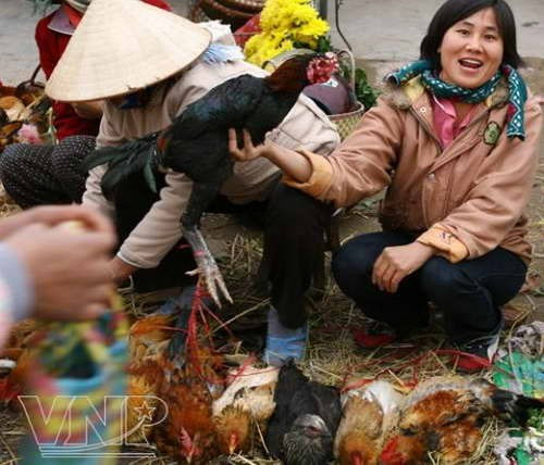 La foire du Têt à la campagne ảnh 1