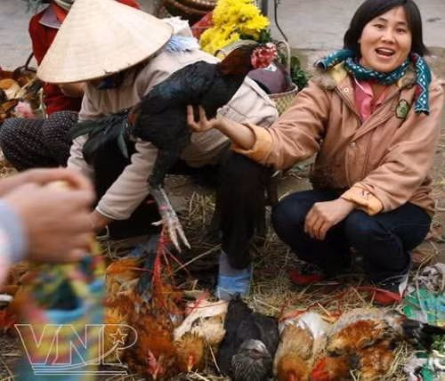 La foire du Têt à la campagne ảnh 1
