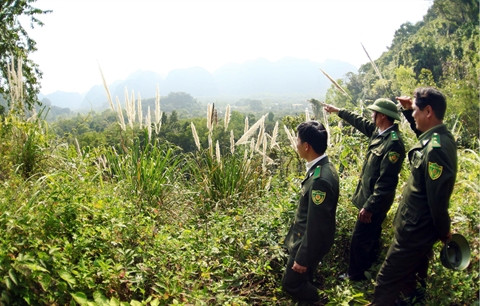 Des solutions pour mieux protéger les ​parcs nationaux et ​réserves naturelles ảnh 2