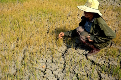 Vigilance maximale face aux catastrophes naturelles ảnh 2 Vigilance maximale face aux catastrophes naturelles ảnh 2