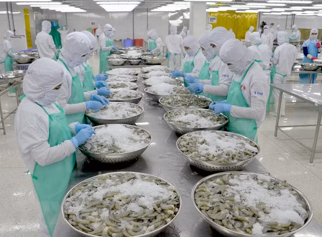 Bonne croissance économique au premier trimestre ảnh 1