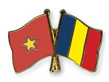 Célébration de la Fête nationale de la Roumanie ảnh 1 Célébration de la Fête nationale de la Roumanie ảnh 1