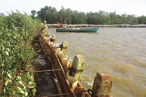 Les femmes et le changement climatique au Vietnam ảnh 1 Les femmes et le changement climatique au Vietnam ảnh 1