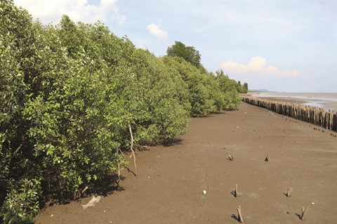 Dérèglement climatique : des experts et des idées ảnh 1 Dérèglement climatique : des experts et des idées ảnh 1