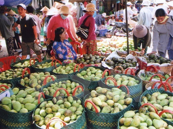Bond des exportations nationales de fruits et légumes en deux premiers mois de 2018 ảnh 1 Bond des exportations nationales de fruits et légumes en deux premiers mois de 2018 ảnh 1