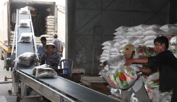 Le Vietnam pourrait exporter 6,5 millions de tonnes de riz en 2018 ảnh 1