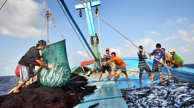 Bon signe pour les exportations de produits aquatiques en janvier ảnh 1 Bon signe pour les exportations de produits aquatiques en janvier ảnh 1