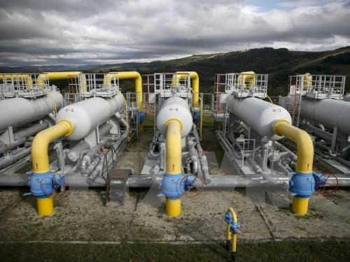 Tokyo Gas du Japon veut investir dans la province de Ha Nam ảnh 1 Tokyo Gas du Japon veut investir dans la province de Ha Nam ảnh 1