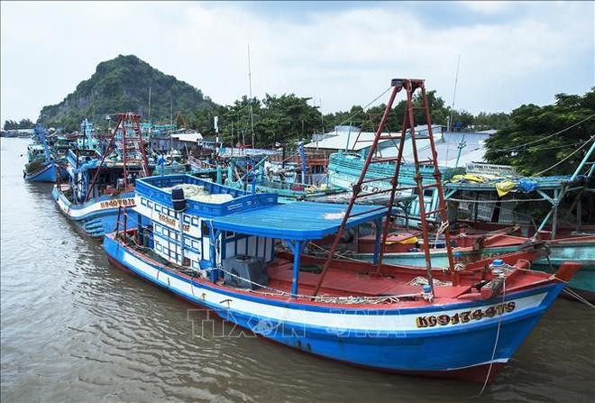 Kiên Giang s’efforce d’empêcher les activités de pêche illicite ảnh 1 Kiên Giang s’efforce d’empêcher les activités de pêche illicite ảnh 1