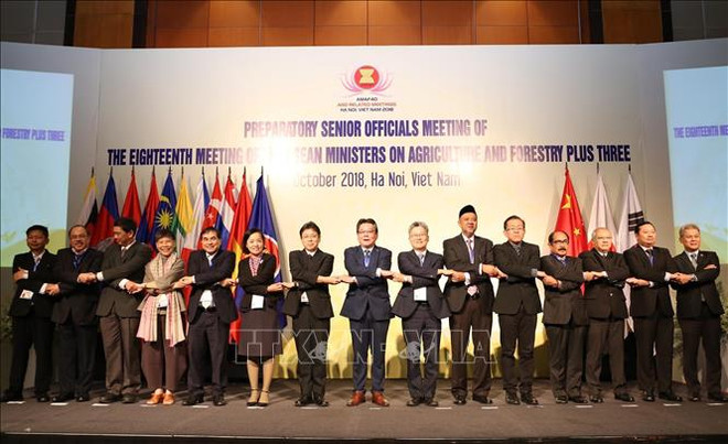 Conférence des hauts officiels des secteurs agricole, sylvicole et aquatique de l’ASEAN+3 ảnh 1 Conférence des hauts officiels des secteurs agricole, sylvicole et aquatique de l’ASEAN+3 ảnh 1