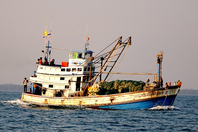 Trois bateaux thaïlandais arraisonnés pour pêche illégale ảnh 1 Trois bateaux thaïlandais arraisonnés pour pêche illégale ảnh 1