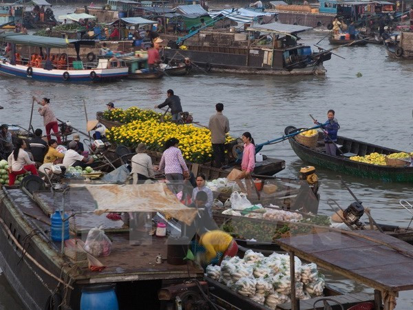 Can Tho renforce la coopération multisectorielle avec la R.de Corée ảnh 1 Can Tho renforce la coopération multisectorielle avec la R.de Corée ảnh 1