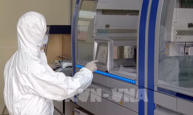 Une journée de plus sans nouveau cas de contamination au coronavirus ảnh 1